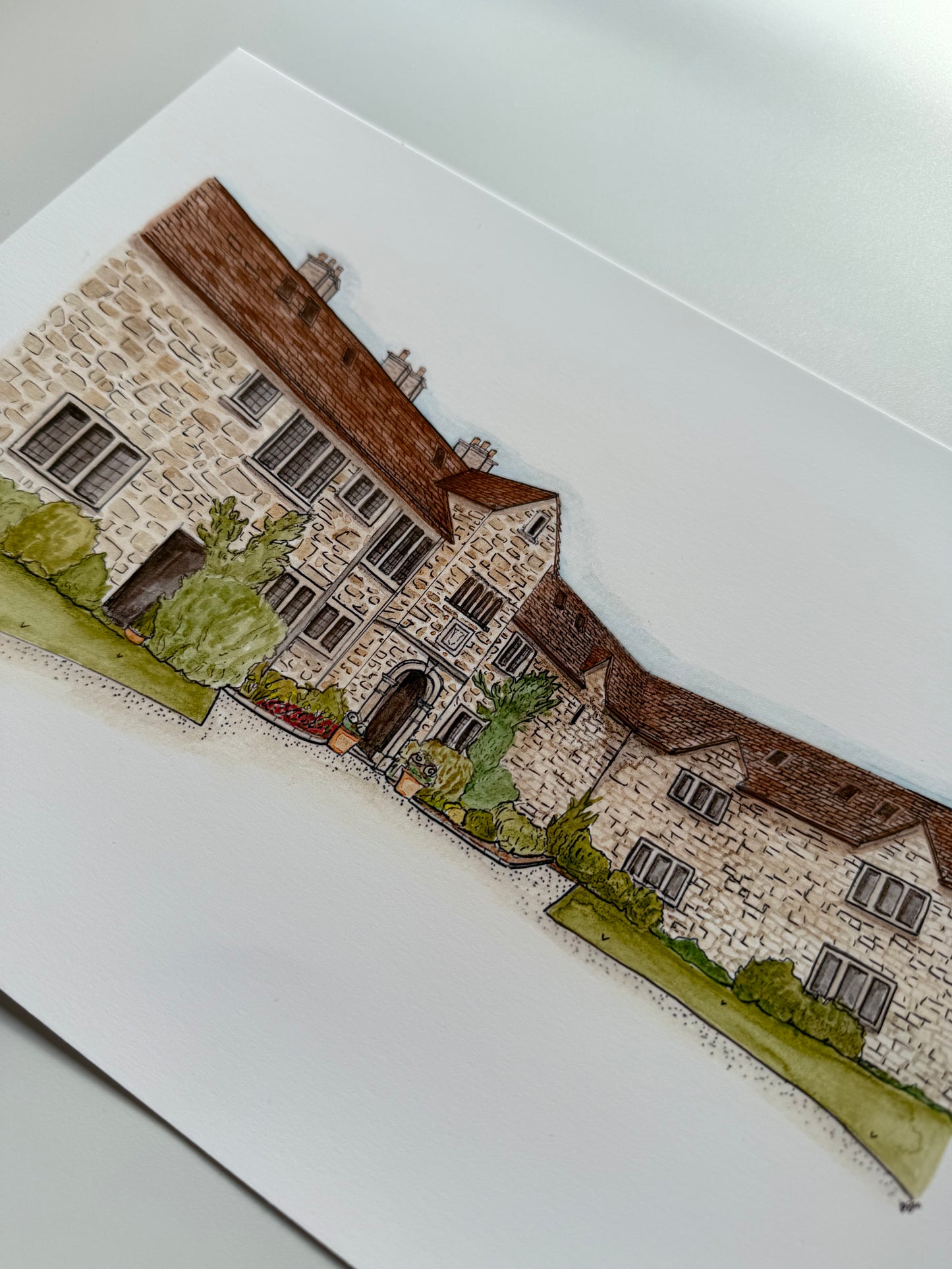 The Pear Tree Purton print